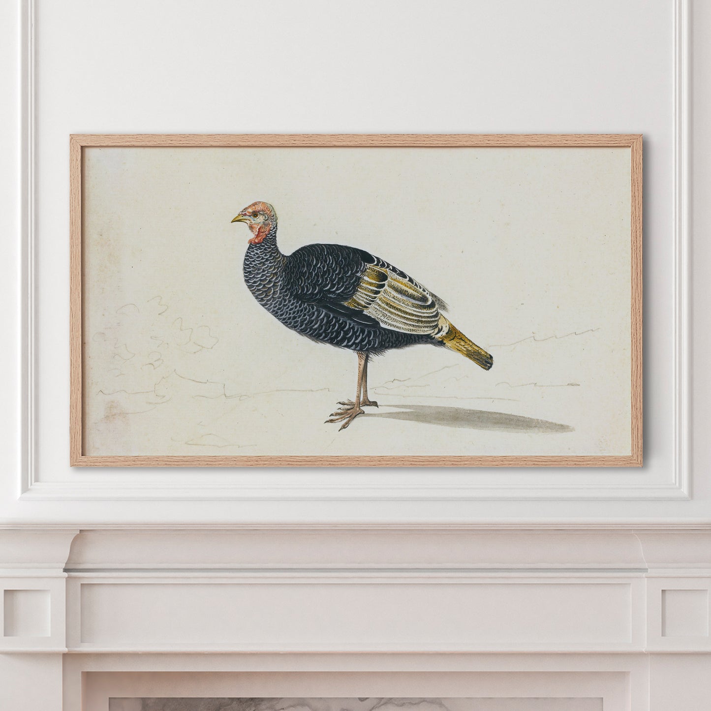 Vintage Turkey Art