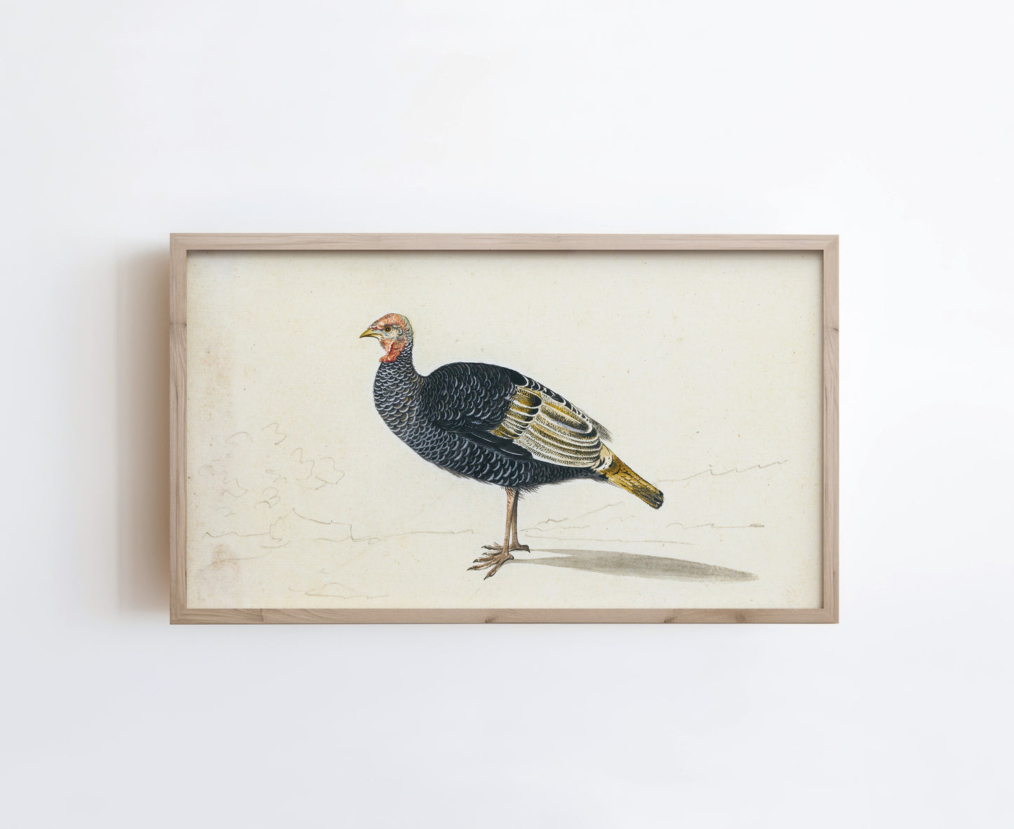 Vintage Turkey Art