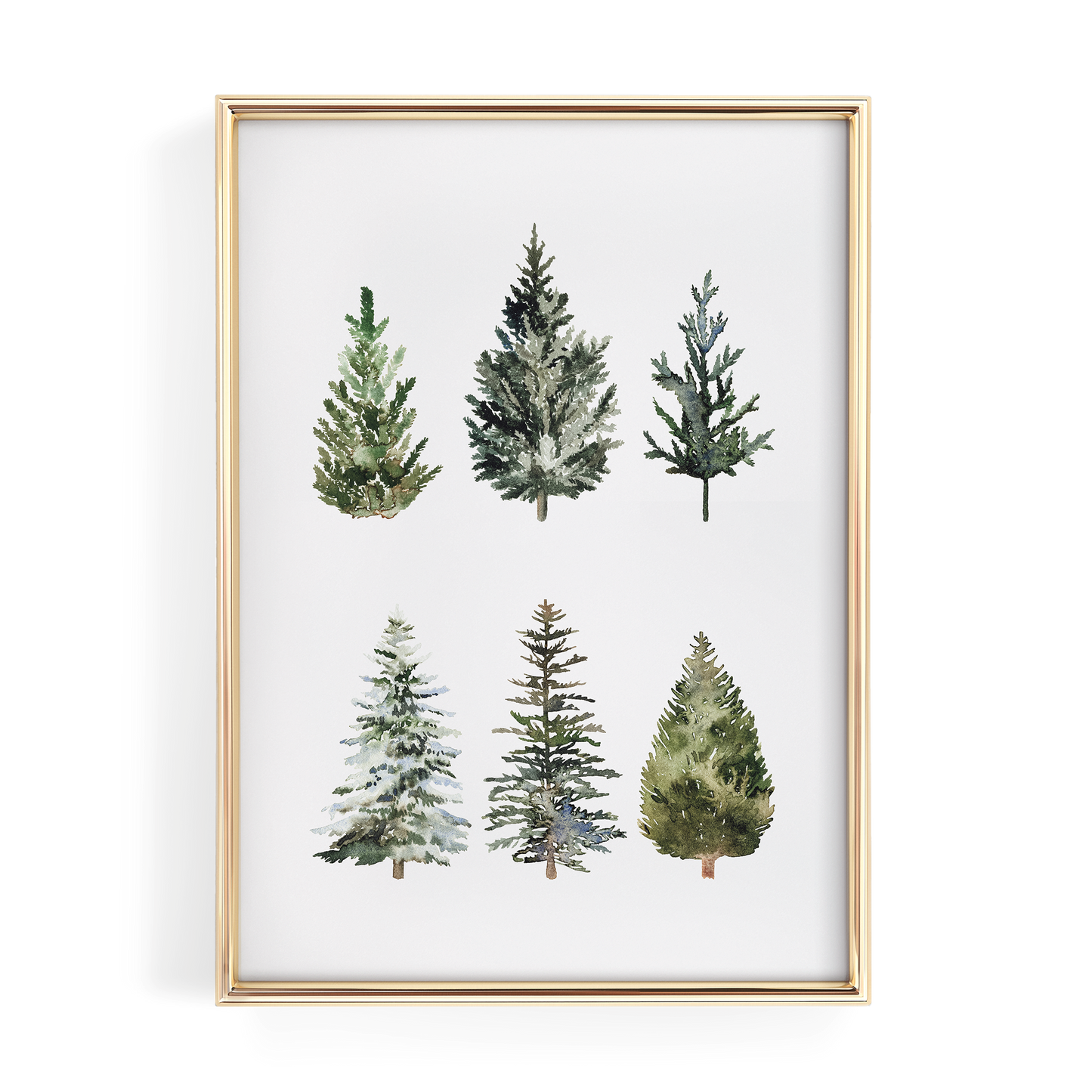 Watercolor Pine Trees