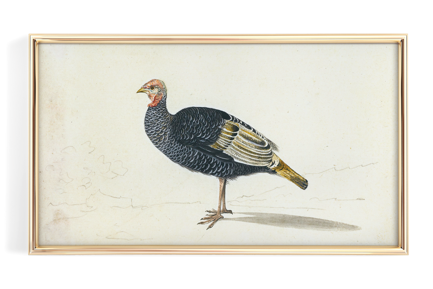 Vintage Turkey Art