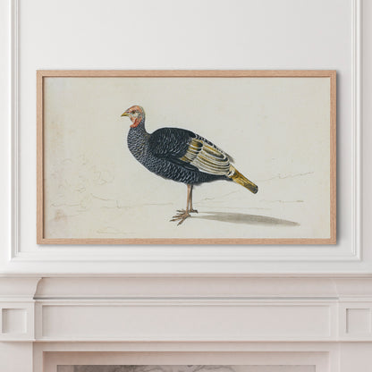 Vintage Turkey Art