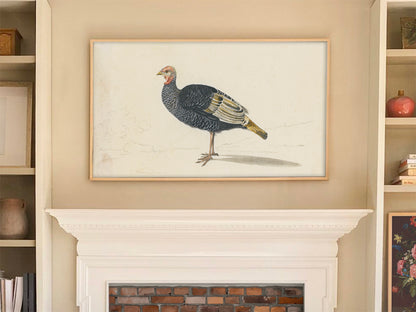 Vintage Turkey Art