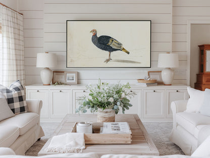 Vintage Turkey Art
