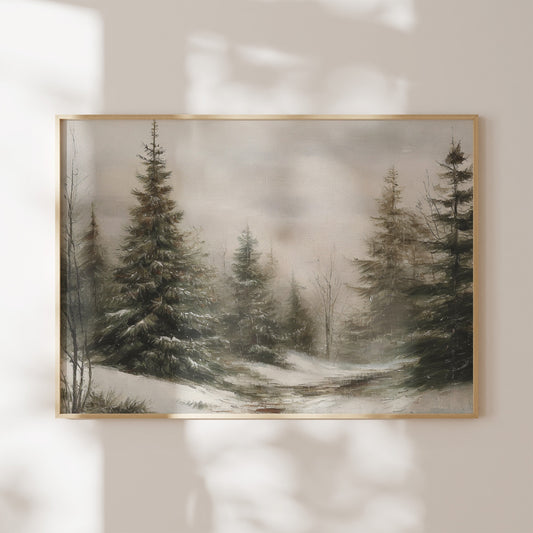 Winter Pine Forest Landscape