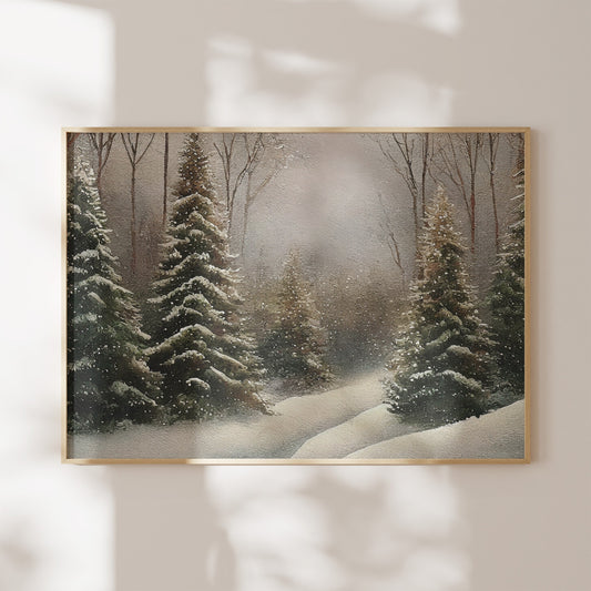 Snowy Winter Pine Tree Forest Landscape