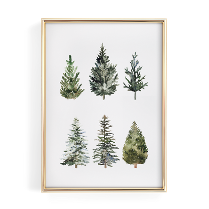 Watercolor Pine Trees