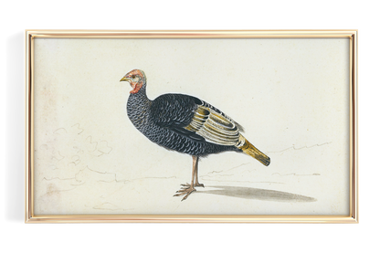 Vintage Turkey Art