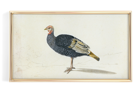 Vintage Turkey Art